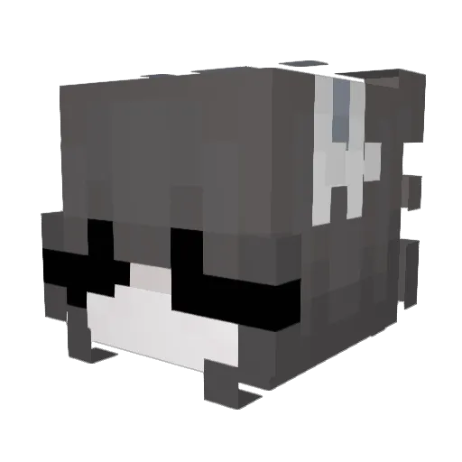 frog821 Minecraft avatar head, 3D render