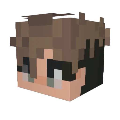 frog_beefity Minecraft avatar head, 3D render