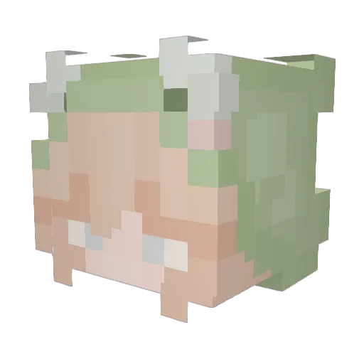 frog_kate Minecraft avatar head, 3D render