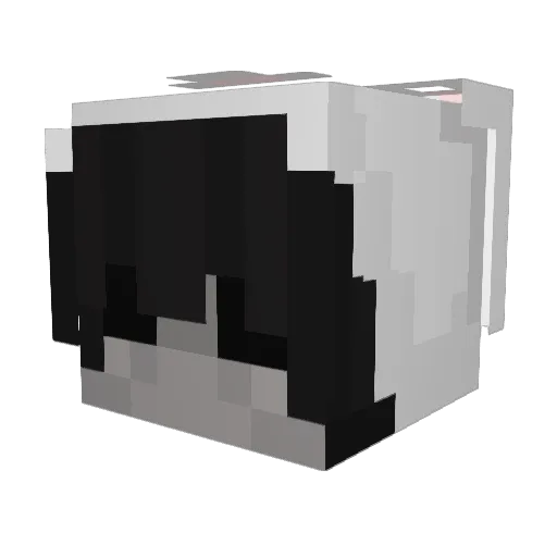 frog_p3rson Minecraft avatar head, 3D render