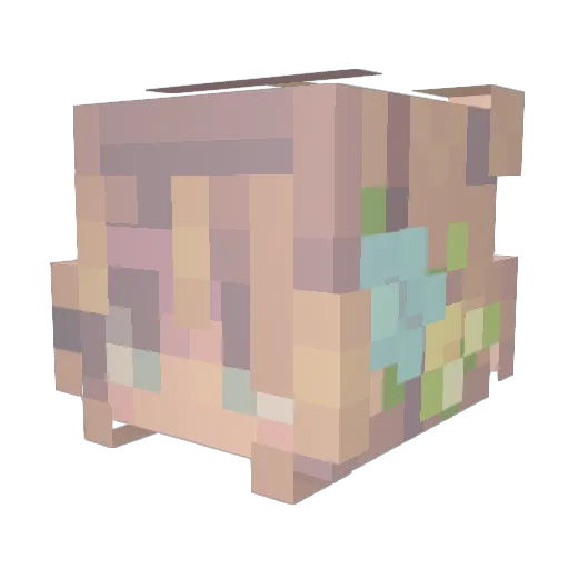 frog_tea Minecraft avatar head, 3D render