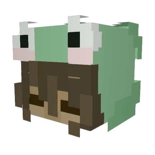 frogandbug Minecraft avatar head, 3D render