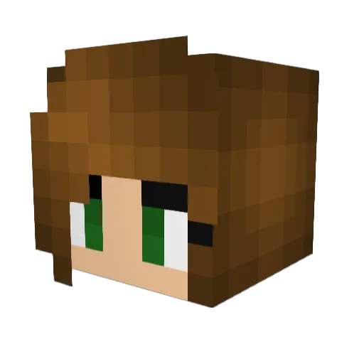 frogbert600 Minecraft avatar head, 3D render
