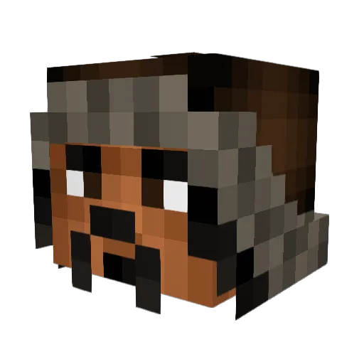 frogboyy Minecraft avatar head, 3D render