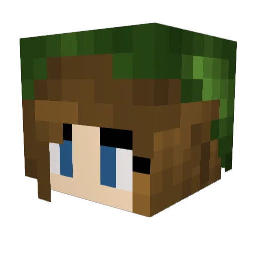 frogbutt88 Minecraft avatar head, 3D render