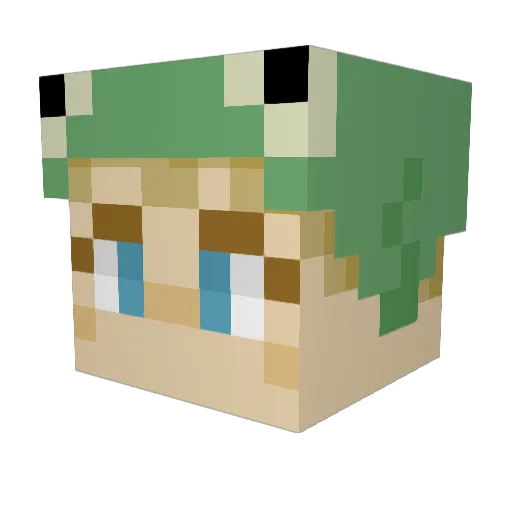 froge_5678 Minecraft avatar head, 3D render