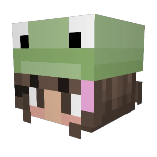 frogfrogO_o Minecraft avatar head, 3D render