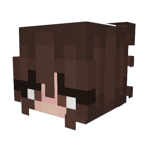 frogge1exe Minecraft avatar head, 3D render