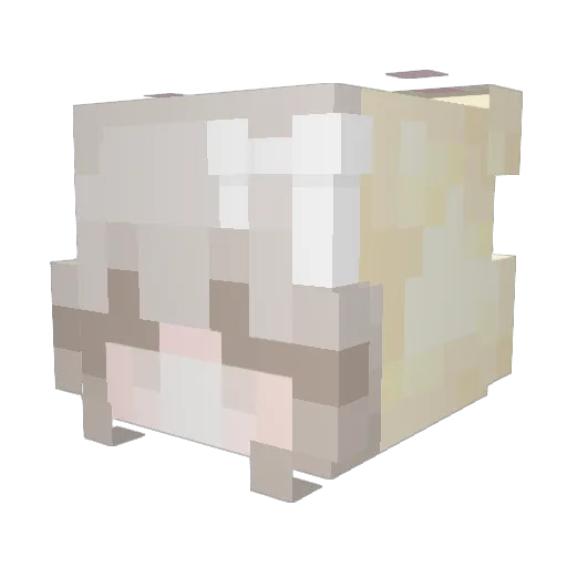 froggerthefrogYT Minecraft avatar head, 3D render