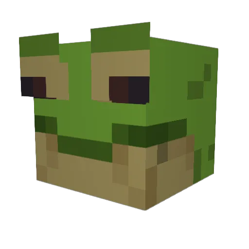 frogges15 Minecraft avatar head, 3D render