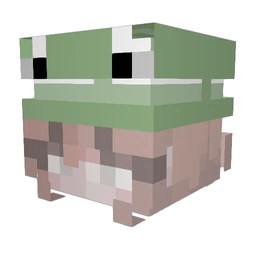 froggieph0ebe Minecraft avatar head, 3D render