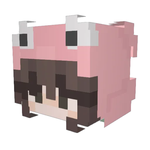 froggiwe Minecraft avatar head, 3D render