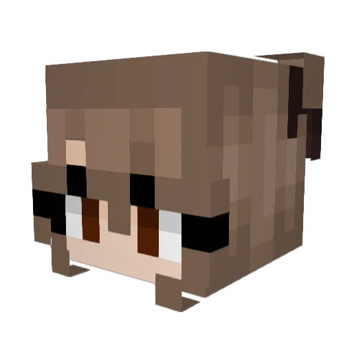 froggulator Minecraft avatar head, 3D render
