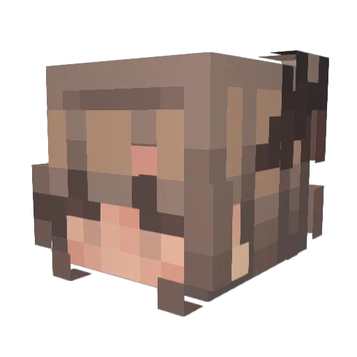 froggy121 Minecraft avatar head, 3D render
