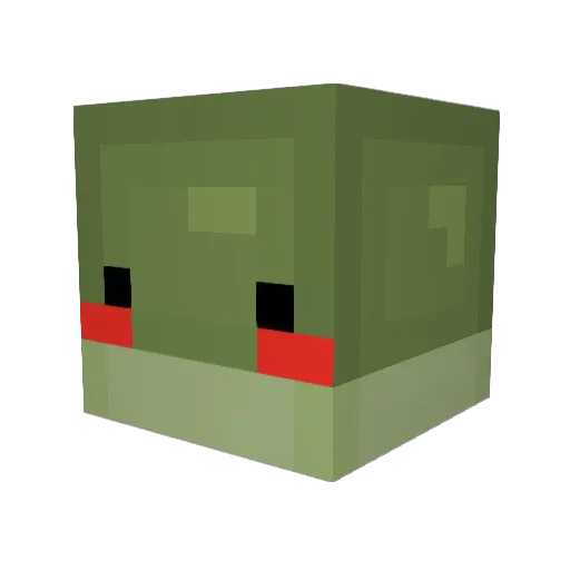froggy_lol Minecraft avatar head, 3D render