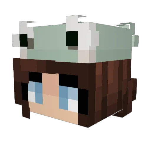 froggybambi Minecraft avatar head, 3D render