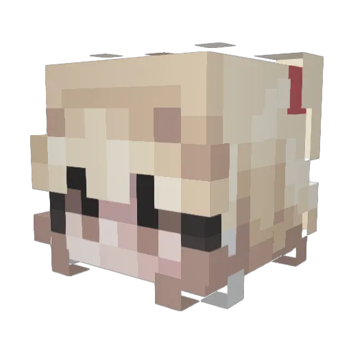 froggybums Minecraft avatar head, 3D render