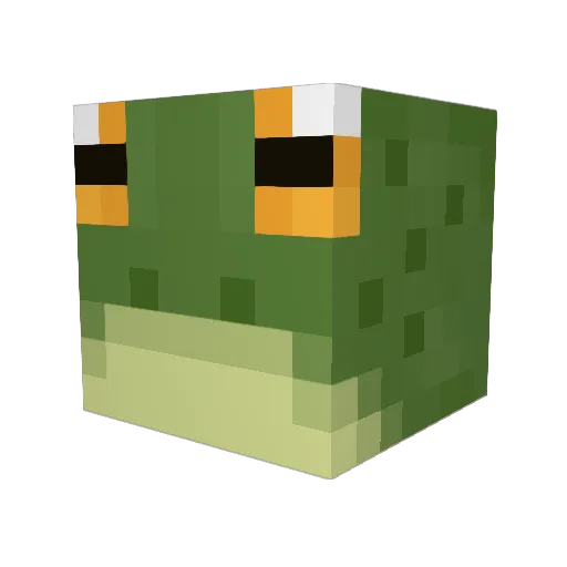 froggycaroline Minecraft avatar head, 3D render