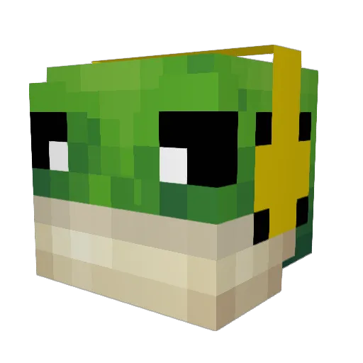 froggydood Minecraft avatar head, 3D render