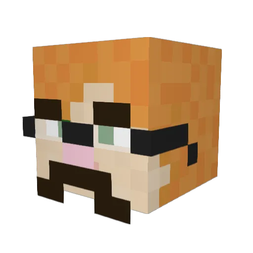 froggyfox44 Minecraft avatar head, 3D render