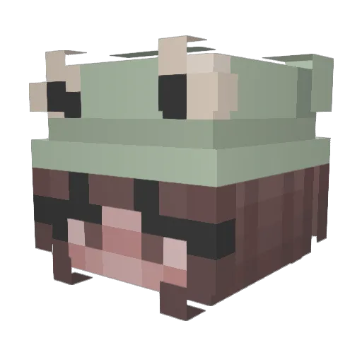 froggyglitterpen Minecraft avatar head, 3D render