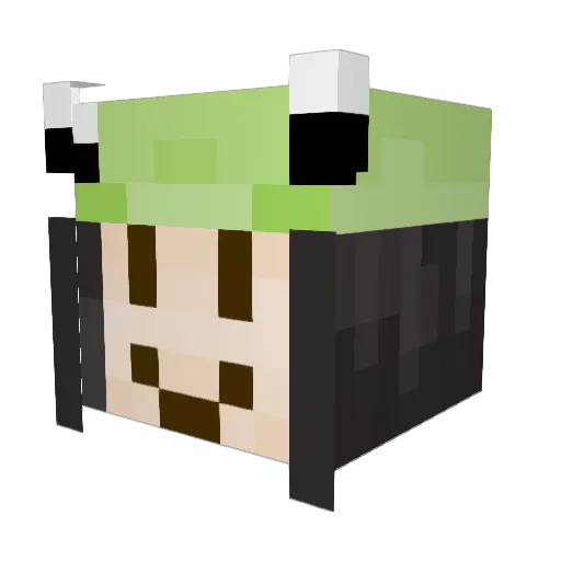 froggymaggot Minecraft avatar head, 3D render