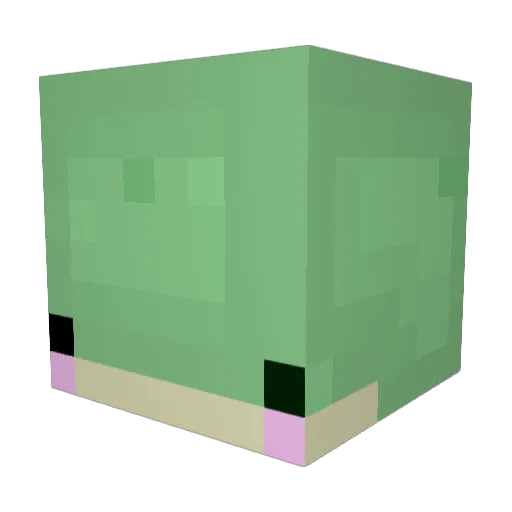 froggymathea Minecraft avatar head, 3D render