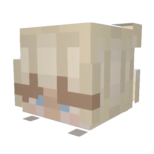 froggysenpai_ Minecraft avatar head, 3D render