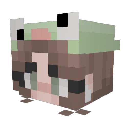froggysfantasy Minecraft avatar head, 3D render