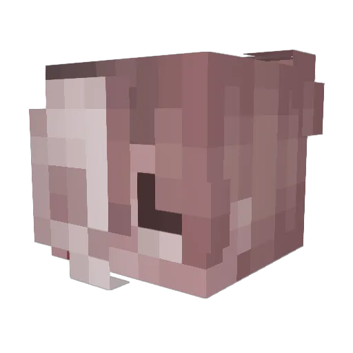 froggyt0es Minecraft avatar head, 3D render