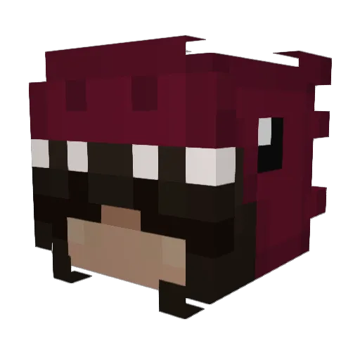 froggyweather Minecraft avatar head, 3D render