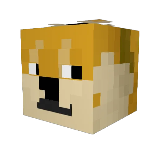 froglet23 Minecraft avatar head, 3D render