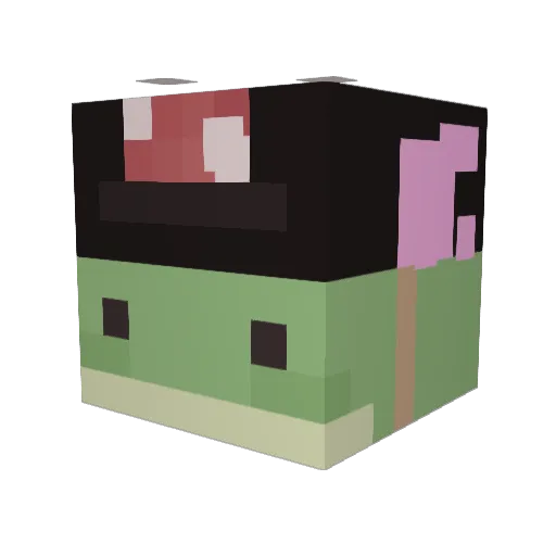 frogluver3000 Minecraft avatar head, 3D render
