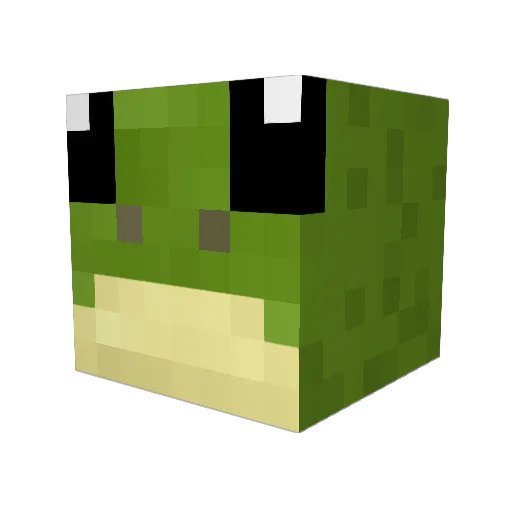 frogman2264 Minecraft avatar head, 3D render