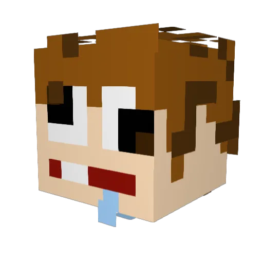 frogmoire Minecraft avatar head, 3D render