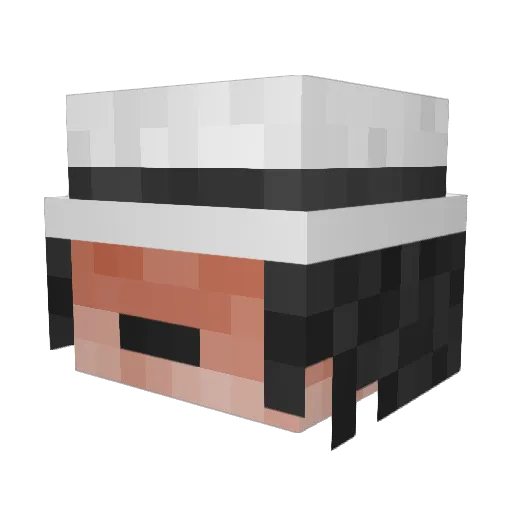 frogofdeath Minecraft avatar head, 3D render