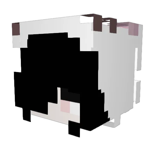 frogos Minecraft avatar head, 3D render
