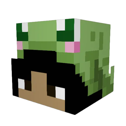 frogprincess420 Minecraft avatar head, 3D render