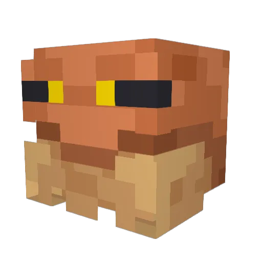 frogquark Minecraft avatar head, 3D render