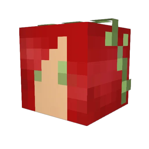 frogs22 Minecraft avatar head, 3D render