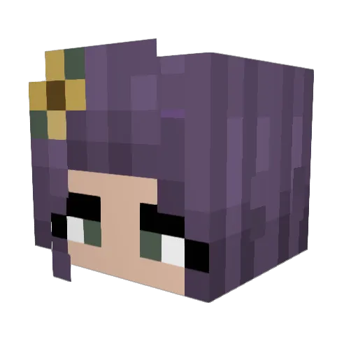 frogsit_ Minecraft avatar head, 3D render
