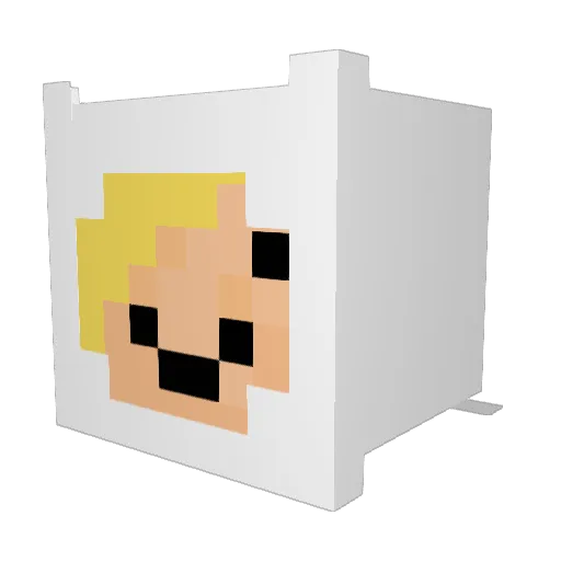 frogswimmer123 Minecraft avatar head, 3D render