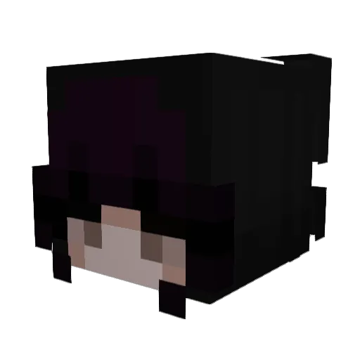 frogwithabs Minecraft avatar head, 3D render