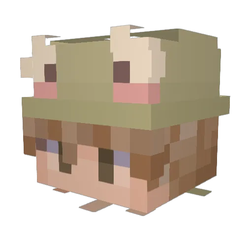 frogy_boy Minecraft avatar head, 3D render