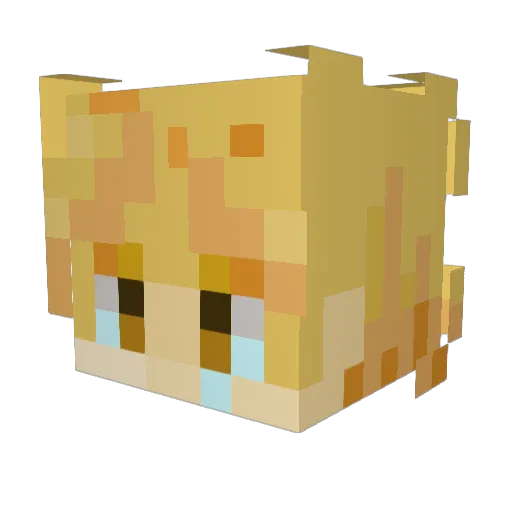 froky908 Minecraft avatar head, 3D render