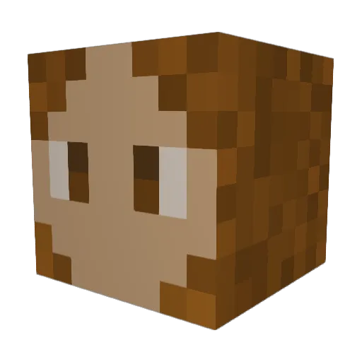 fromoverthere Minecraft avatar head, 3D render