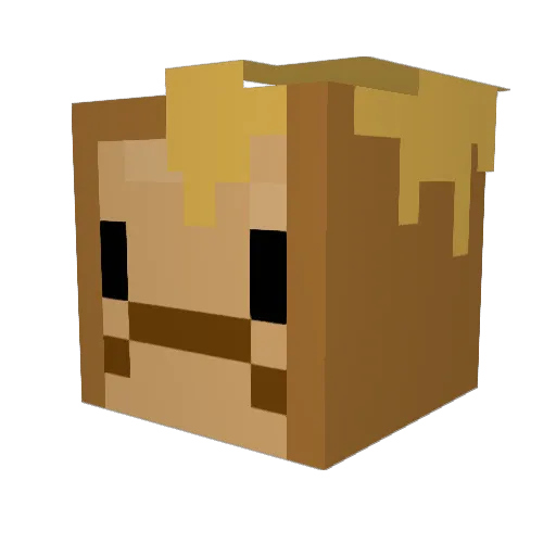 fronch_toast Minecraft avatar head, 3D render