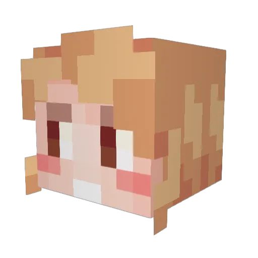 fronounxes Minecraft avatar head, 3D render
