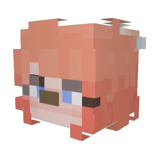 froootloops Minecraft avatar head, 3D render