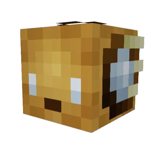 frootloops47 Minecraft avatar head, 3D render